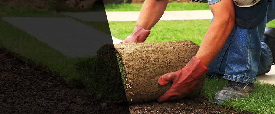 Cedarburg Landscapers